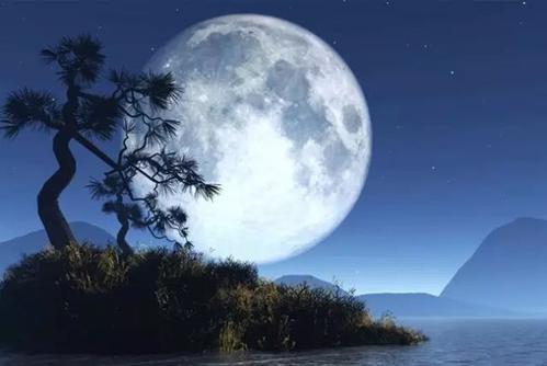 与星星的月亮夜