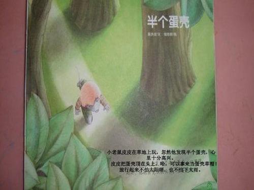 半蛋壳组成