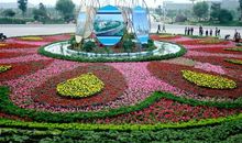 街边的那份和谐