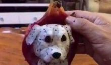 火龙果作文200字