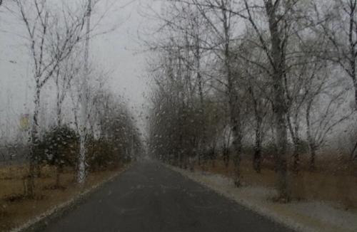 雪的温暖