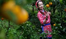 我喜欢四季的红