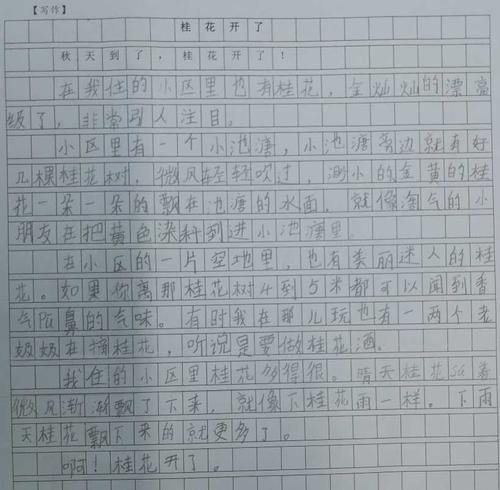 桂花的组成