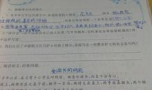 赞美护士的作文