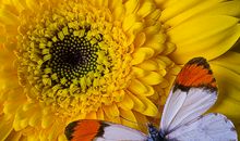 自信是一种美丽的生命姿态