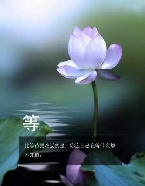 信心和毅力