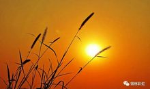 2020细细碎碎的脚印