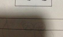 小猫吃鱼看图写话