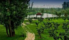 小清河变美丽了