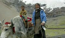 人类我想对你们说