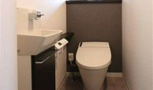 废墟中的阿曼达