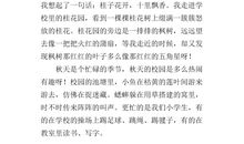 我最喜欢的植物作文