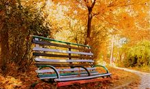 小村庄与众不同的秋天