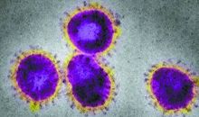 冠状病毒我知道