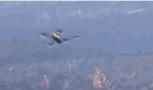 神奇的水面张力实验