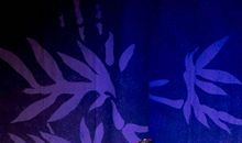 我的父亲二三事