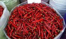 家乡的特产——辣椒