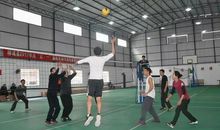 记一场排球比赛