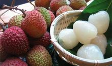 家乡的特产——荔枝