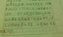 这一年我什么作文