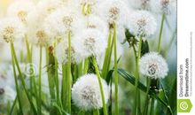 让幸福种子开花结果