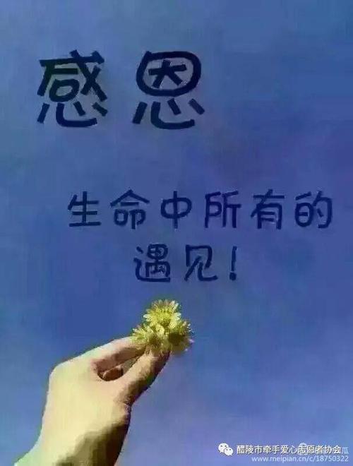 谢谢谢谢