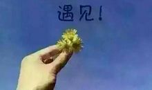 感恩有你，感谢同行