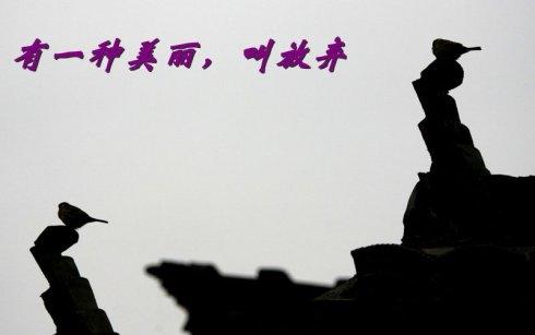 放弃的美丽
