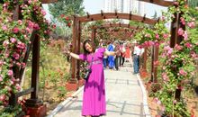 花园四季美如画