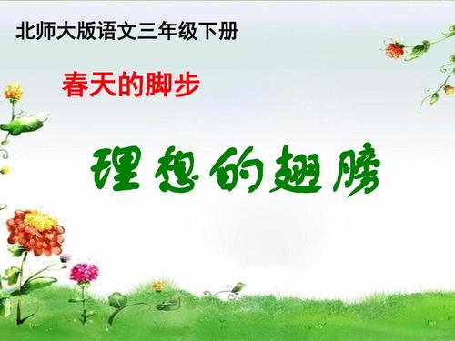 理想的翅膀