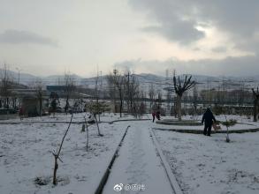 夏从来没走过