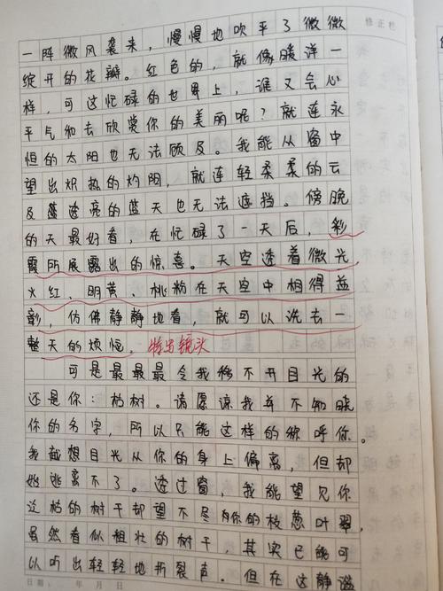 关于窗外的构图
