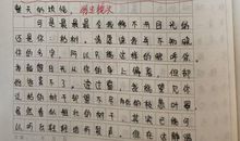 关于窗外的作文