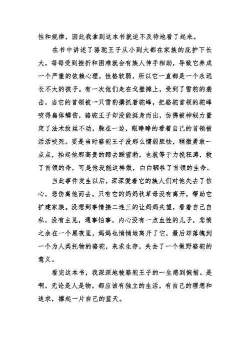 关于“骆驼王子”的思考