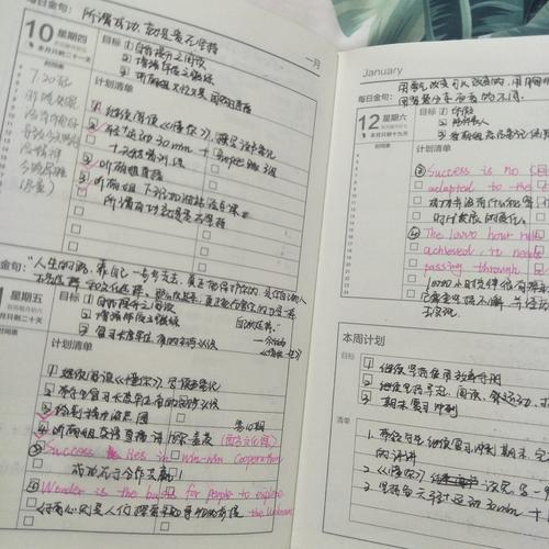 坚持不懈，我的年度关键字