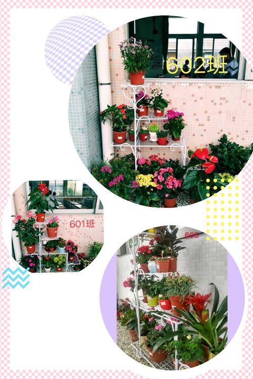 在成长的道路上，花朵的芬芳充满了路径