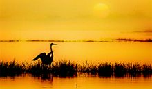 在晨曦中看祖国