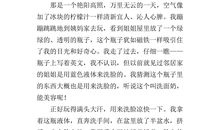 童年趣事450字满分作文