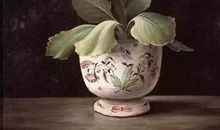 震撼我心灵的花开