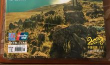 你便是我最好的归宿