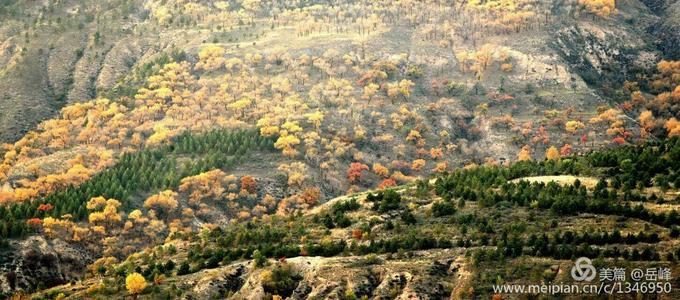 飞向梦想的天堂