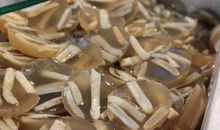 我家乡的土特产——土笋冻