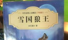 雪国狼王读后感
