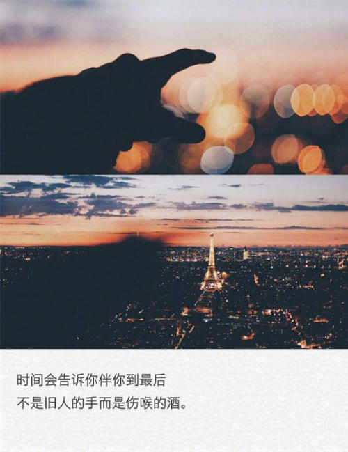 寂寞的公司