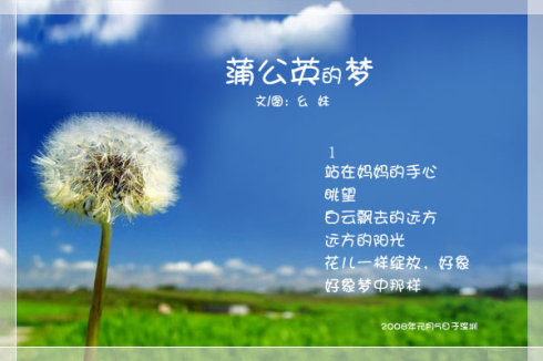 蒲公英梦