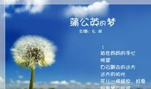 蒲公英之梦
