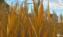 原来我也很自由