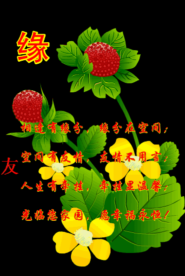 我的花友