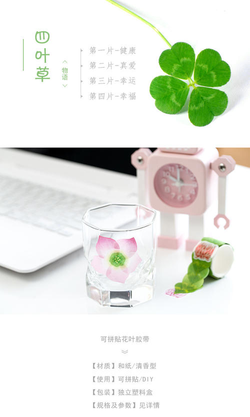 四叶草的观察日记