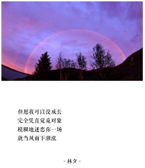 你是我流浪的地方